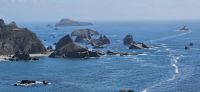 PICTURES/Samuel Boardman Scenic Corridor/t_Coast3.jpg